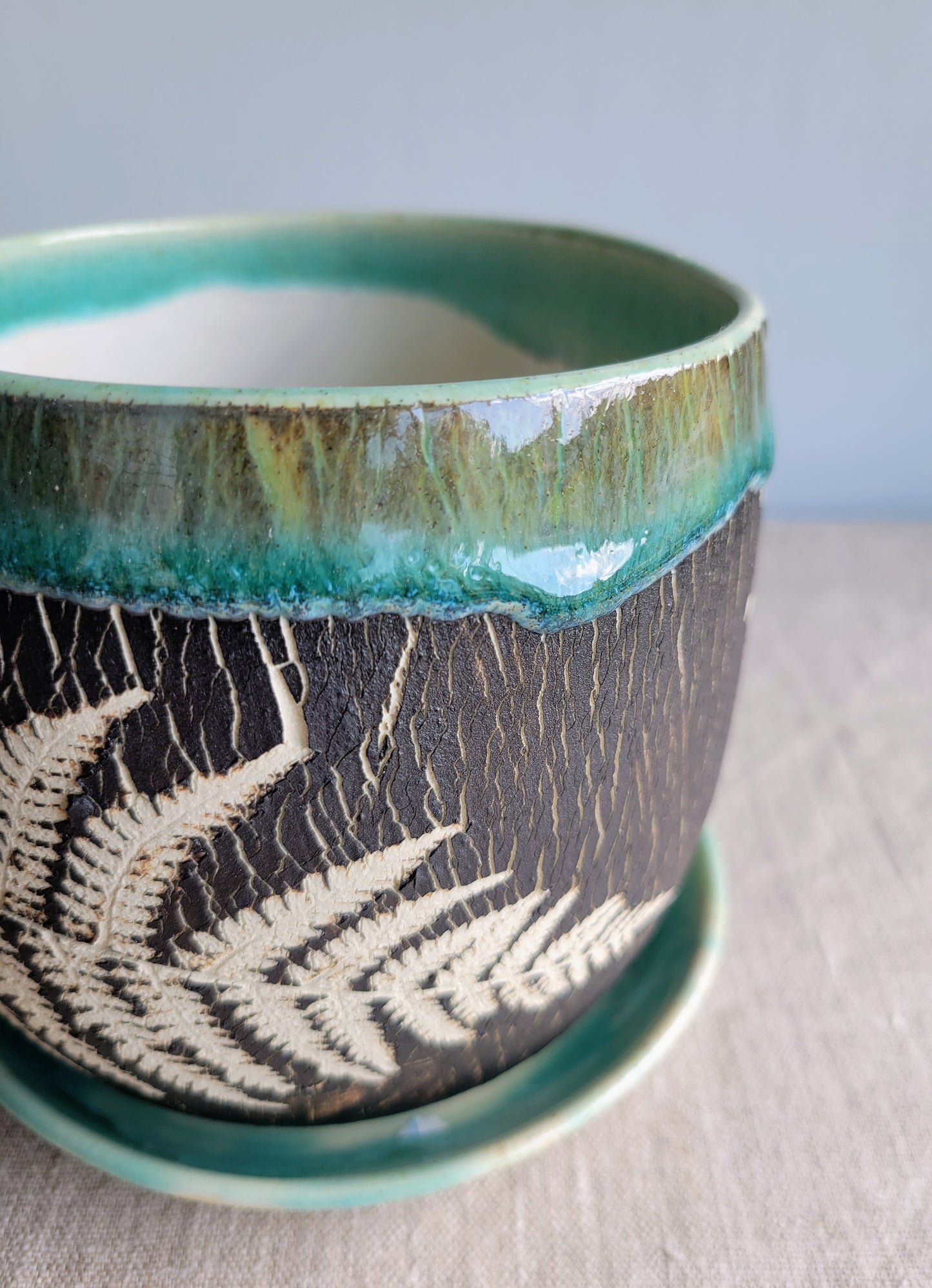 5" Cracked Fern Planter
