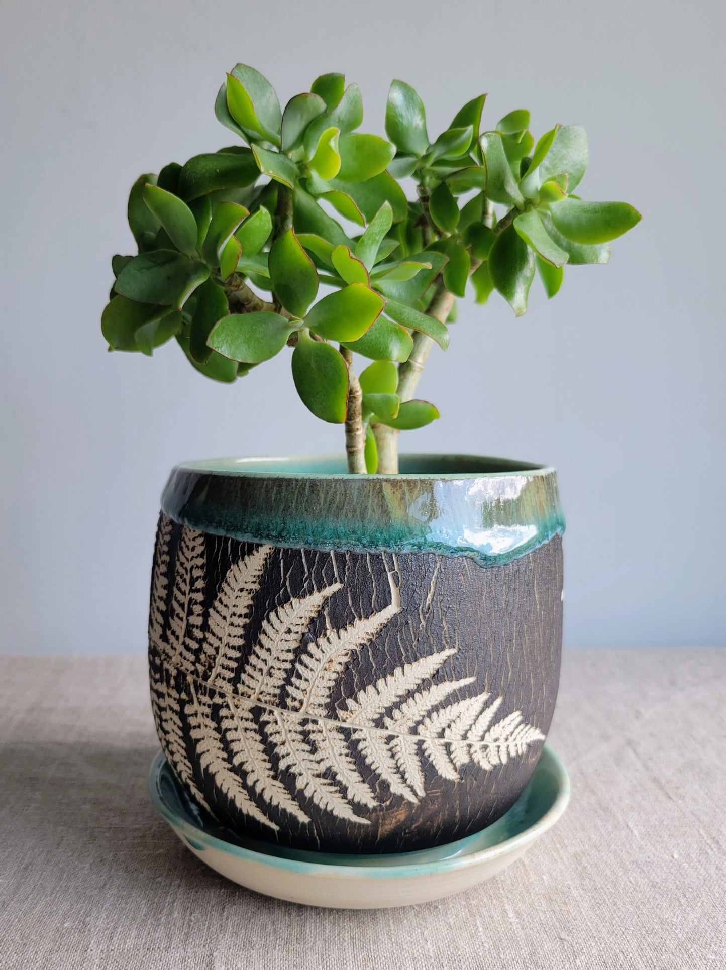 5" Cracked Fern Planter