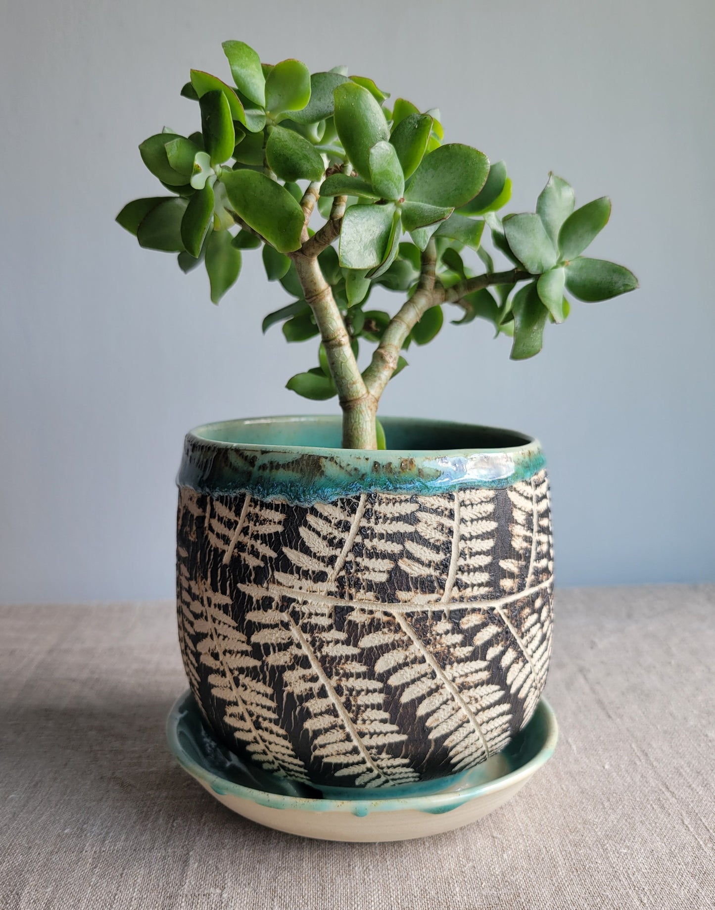 5" Cracked Fern Planter