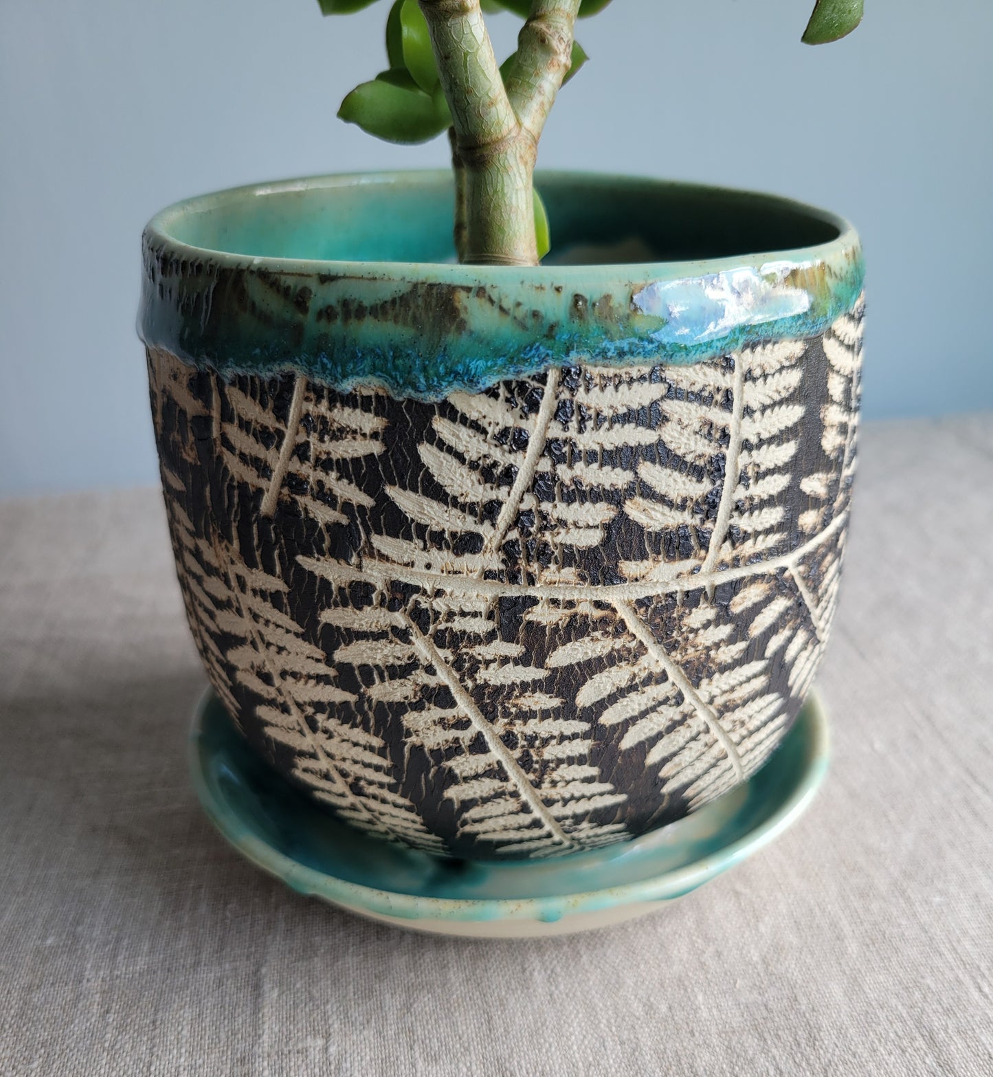 5" Cracked Fern Planter