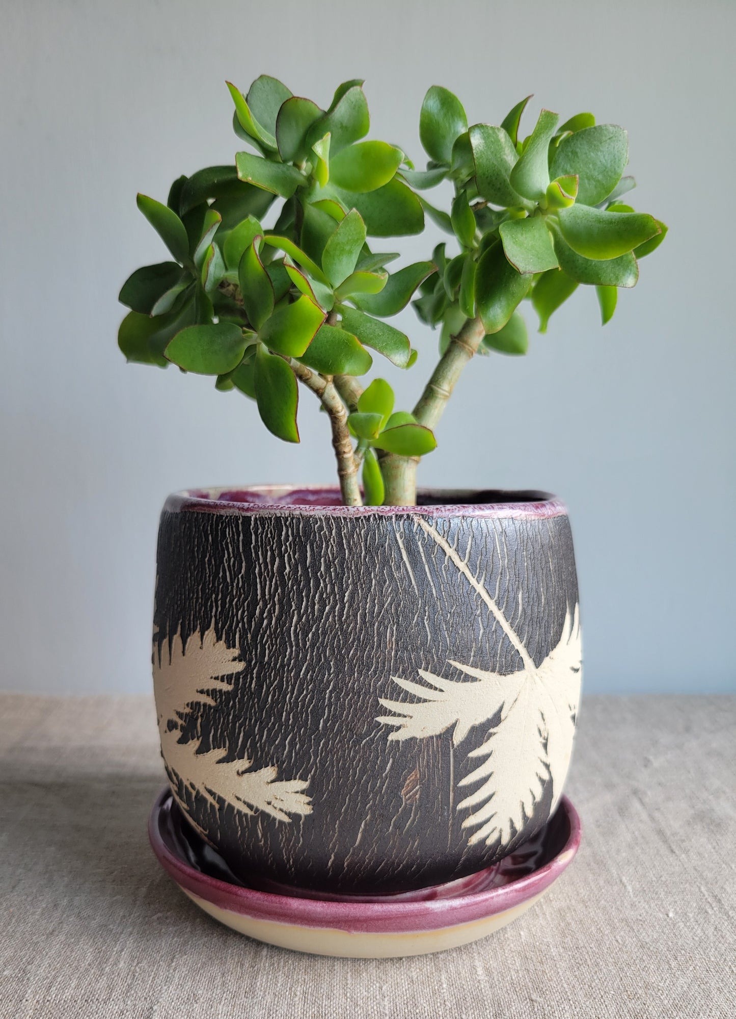 5" Cracked Fern Planter