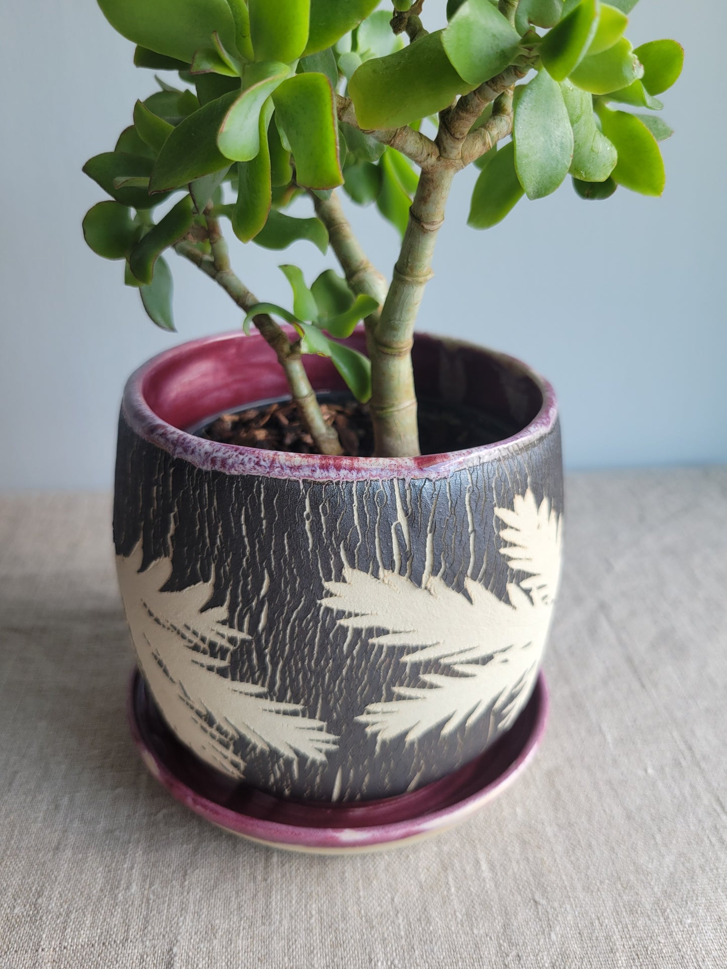 5" Cracked Fern Planter
