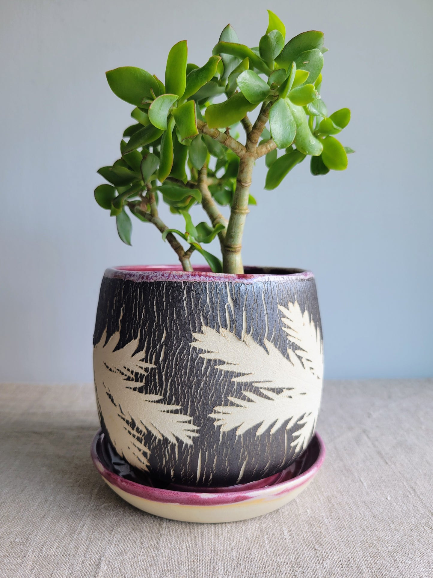 5" Cracked Fern Planter