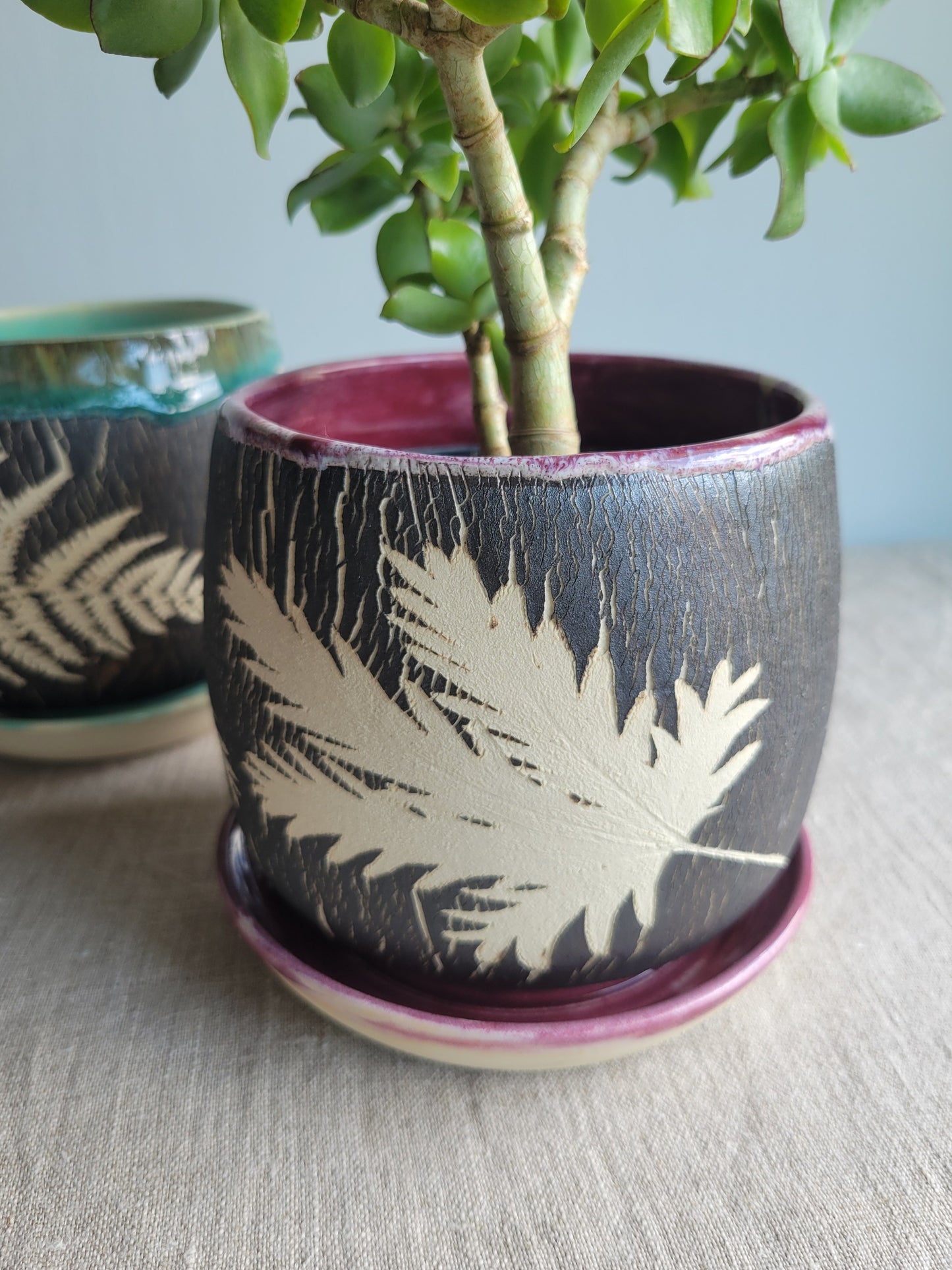 5" Cracked Fern Planter