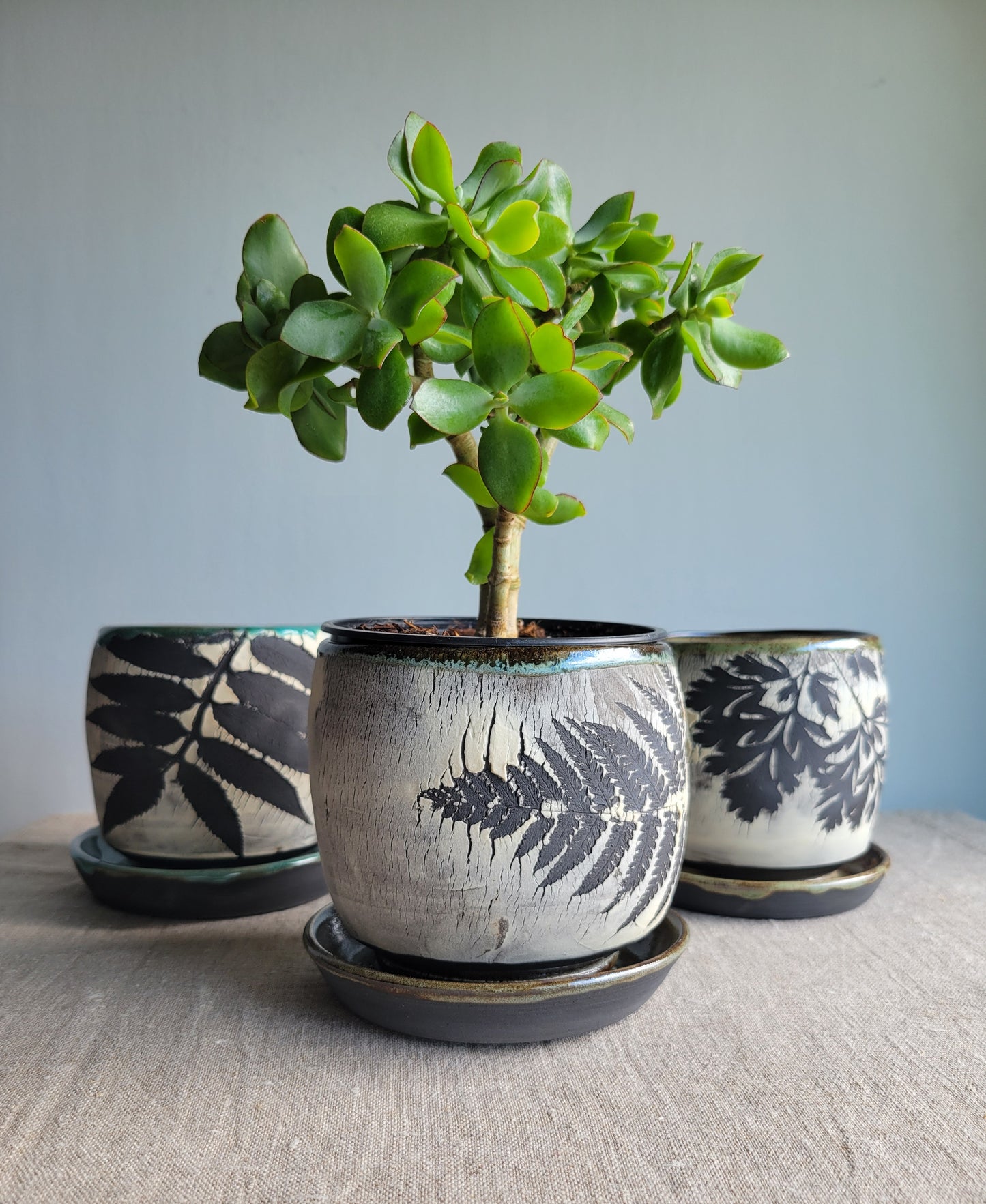 4" Cracked Fern Planter