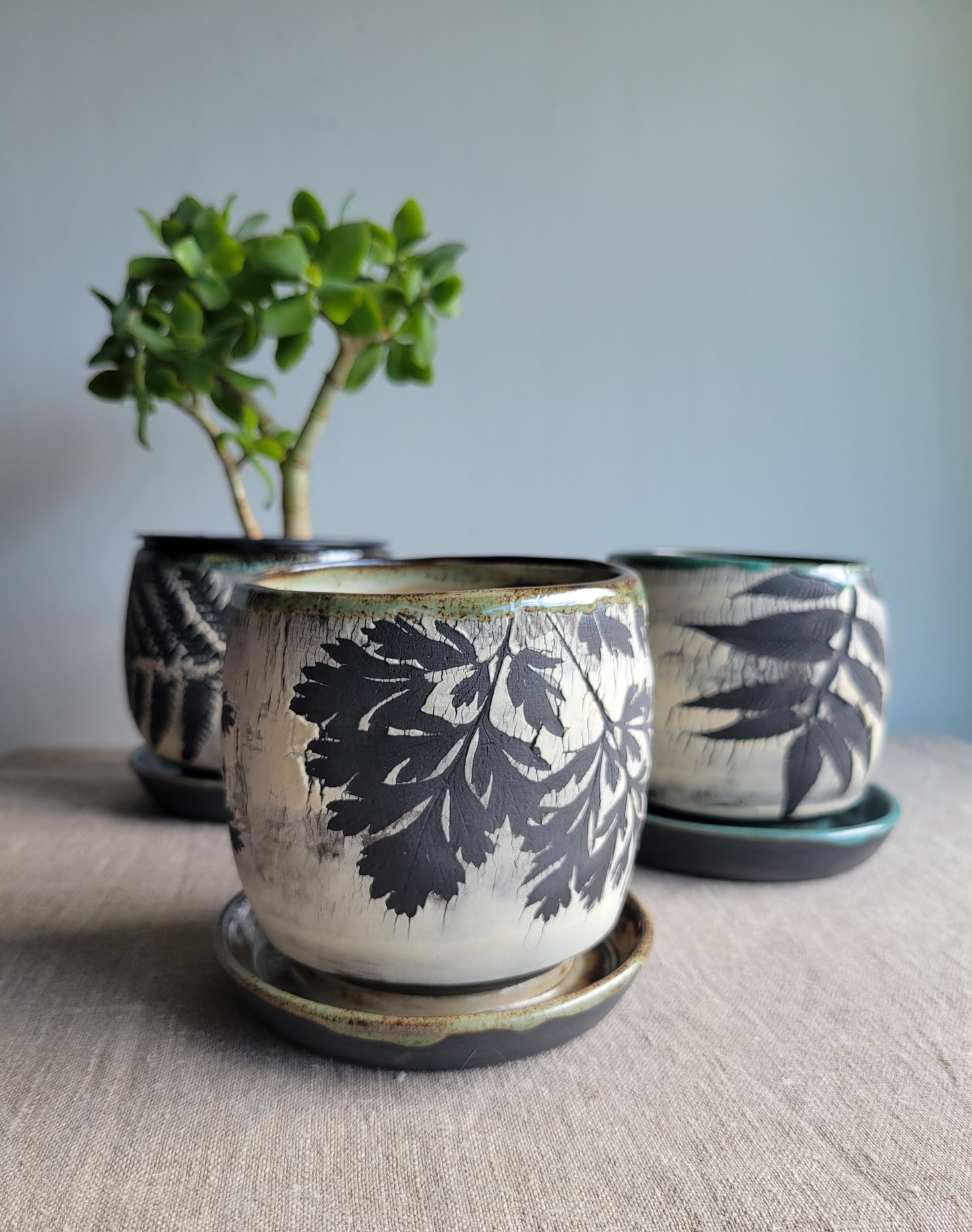 4" Cracked Fern Planter