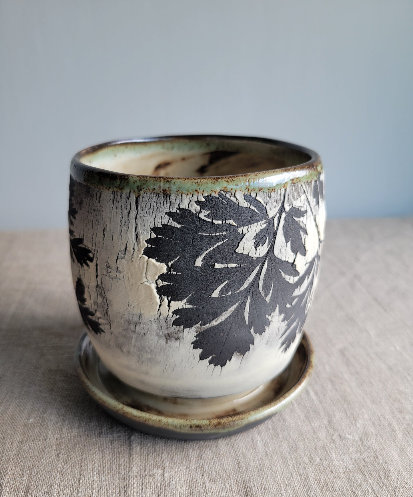 4" Cracked Fern Planter