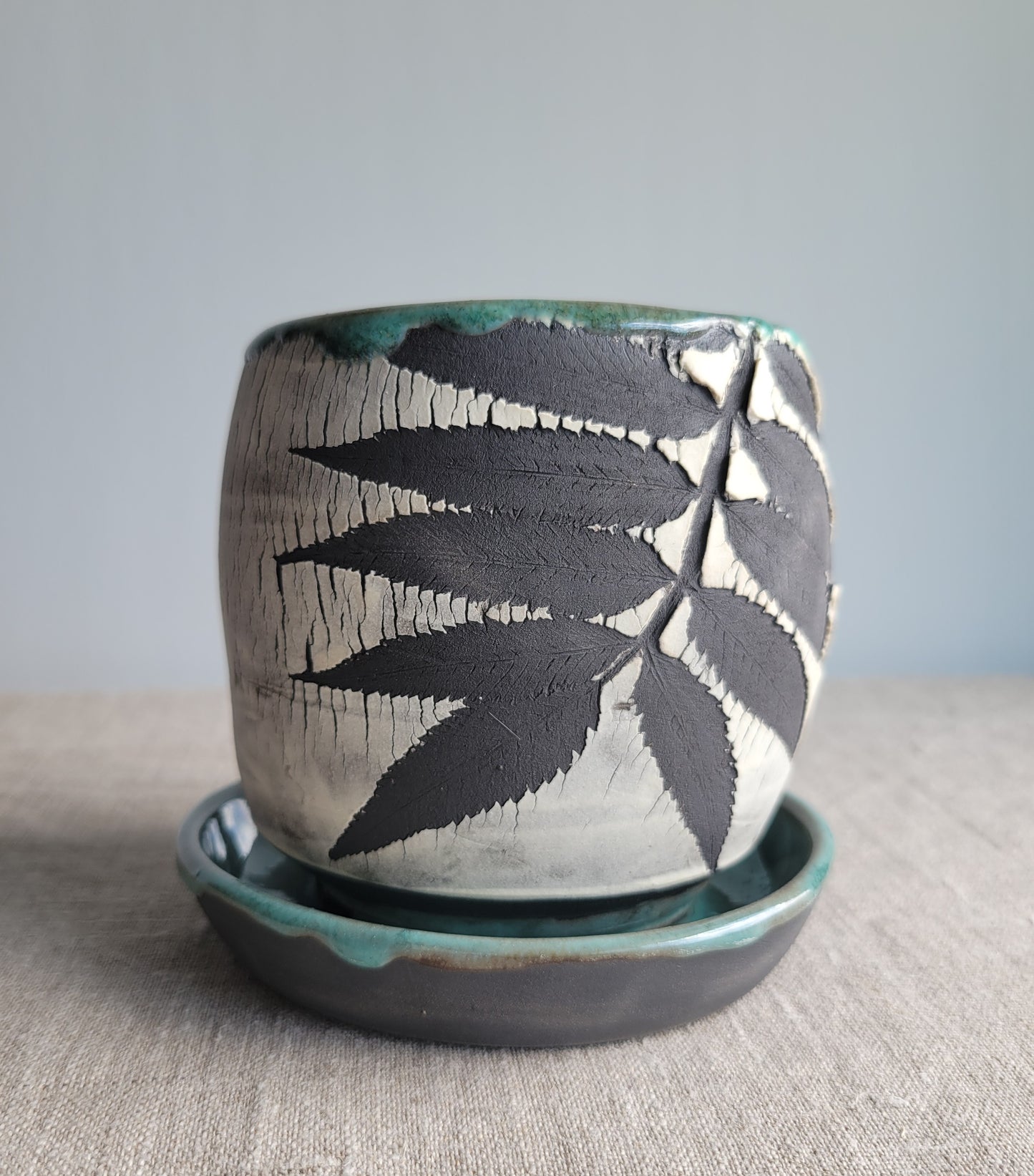 4" Cracked Fern Planter