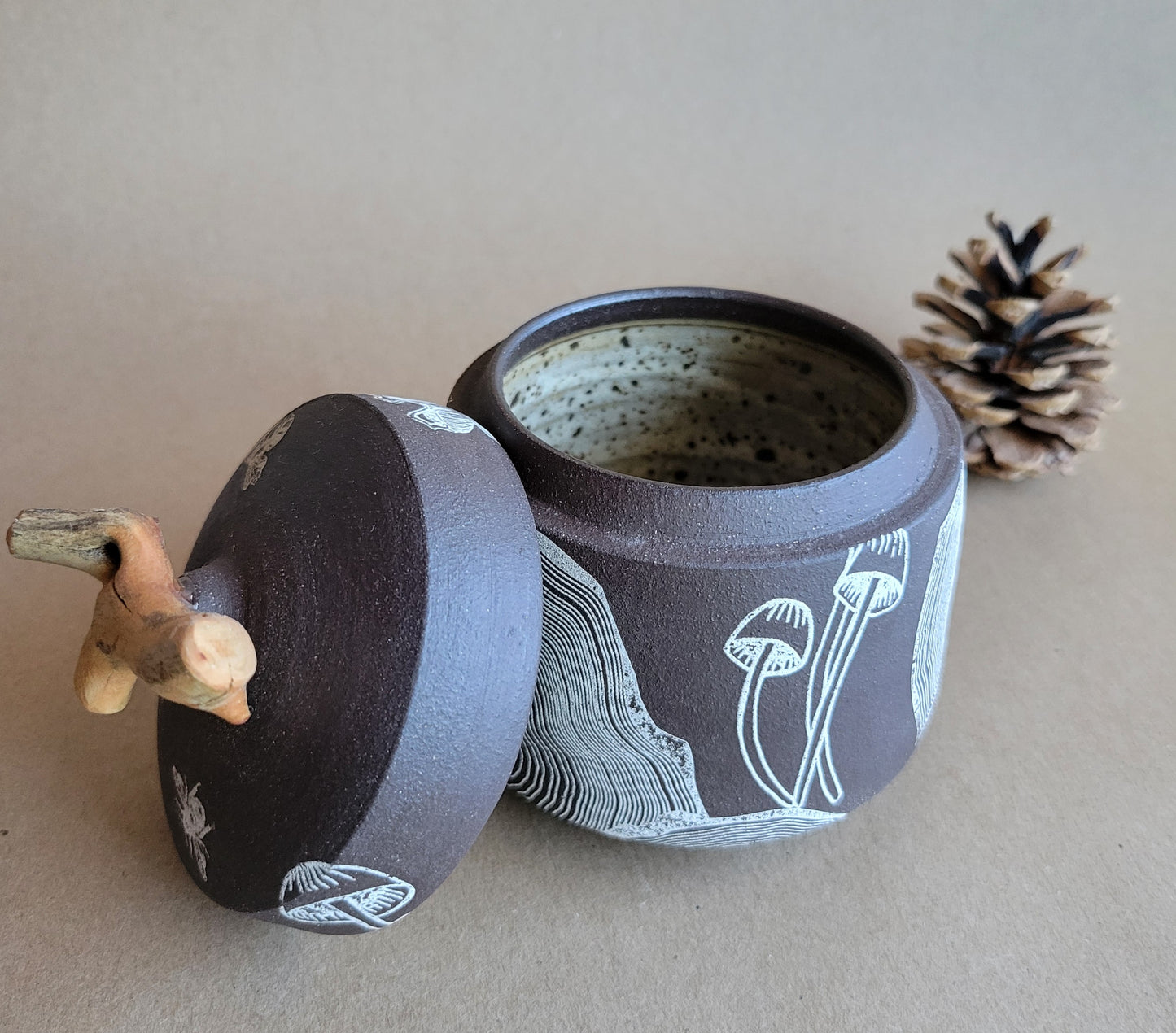 Treasure Box Tree Slices Mushrooms