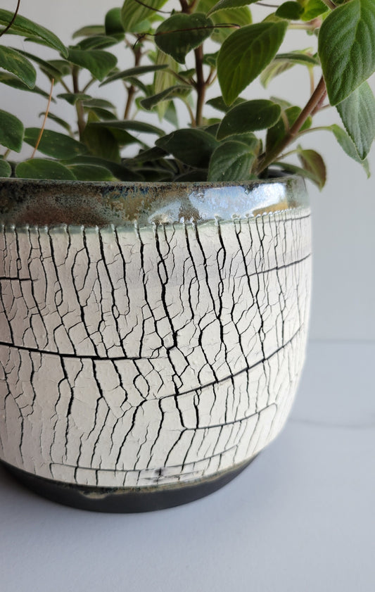 5" Birch Bark Planter