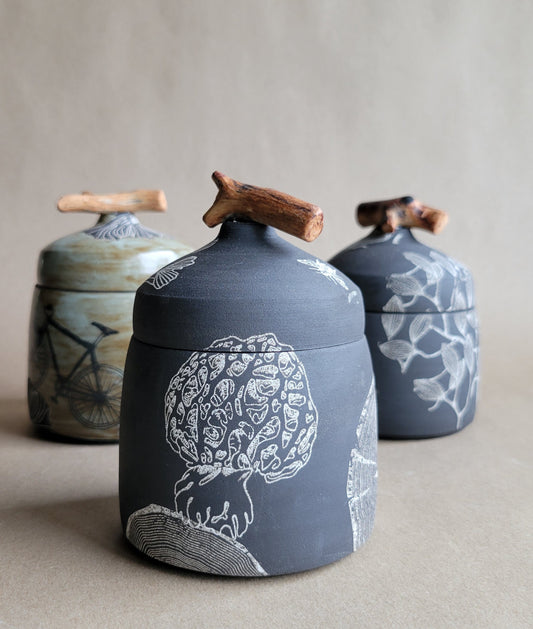 Black Clay Treasure Box Mushrooms/Gingkos