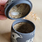 Black Clay Treasure Box Mushrooms/Gingkos