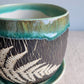 5" Cracked Fern Planter