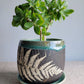 5" Cracked Fern Planter