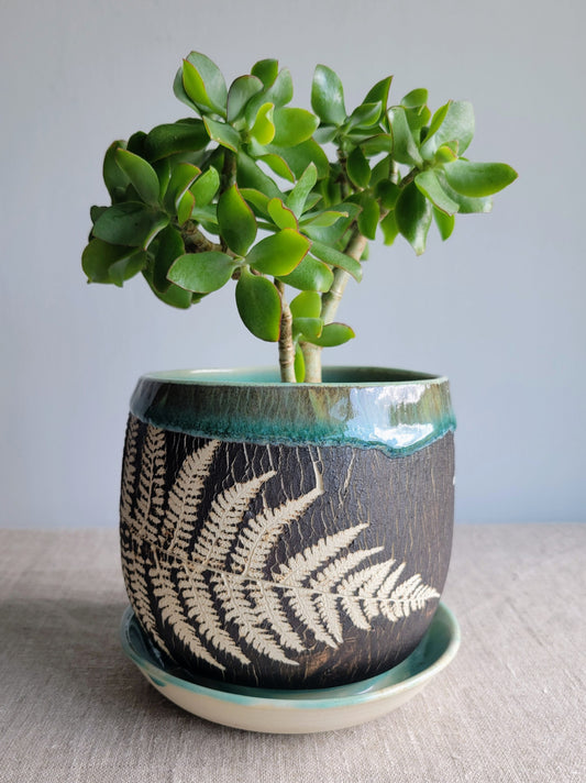 5" Cracked Fern Planter