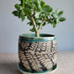 5" Cracked Fern Planter