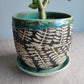 5" Cracked Fern Planter