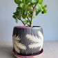 5" Cracked Fern Planter