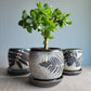 4" Cracked Fern Planter