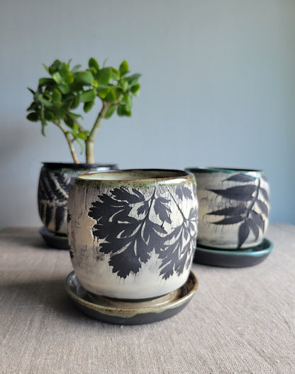 4" Cracked Fern Planter