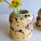 Soap Dispenser and Bud Vase in Sandstone
