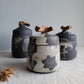 Black Clay Treasure Box Poppies