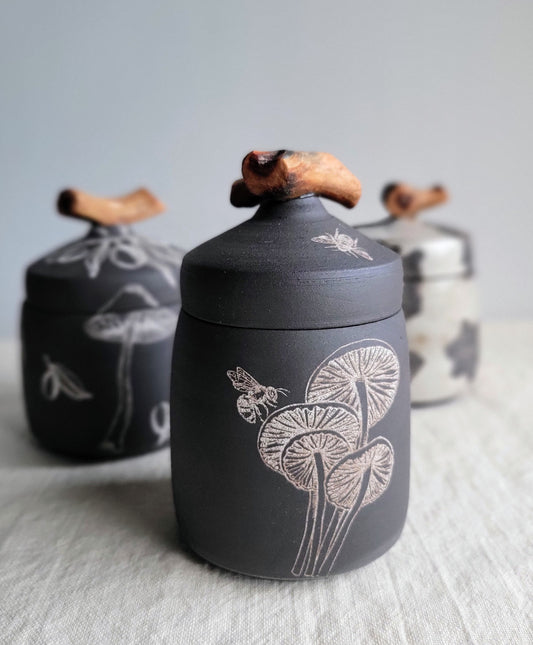 Black Clay Treasure Box Mushrooms
