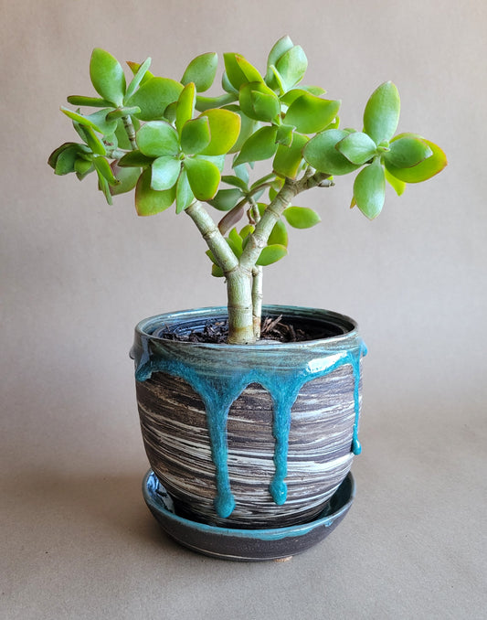 4" Marbled Planter Aqua