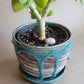 Marbled Planter Aqua