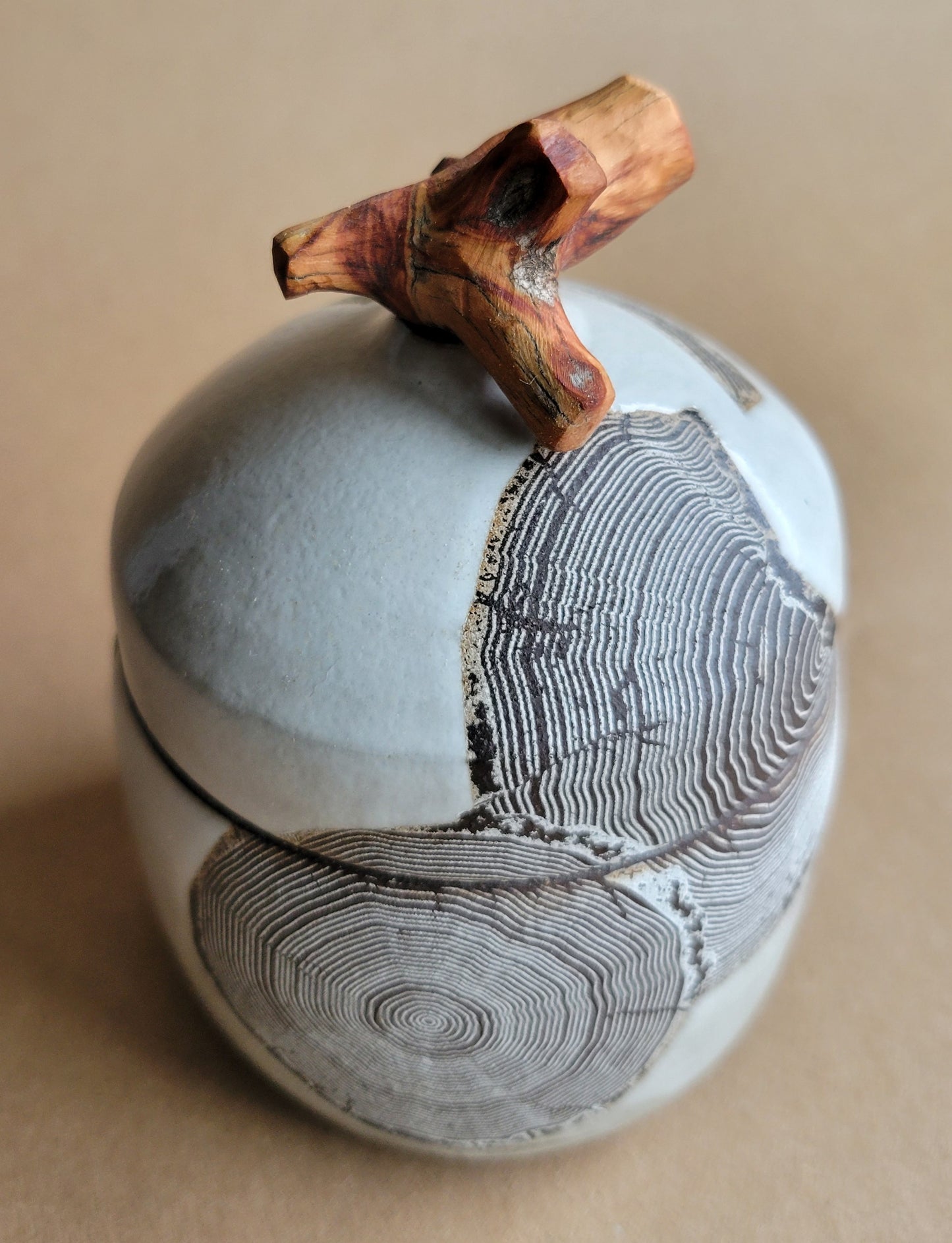 Treasure Box Tree Slices