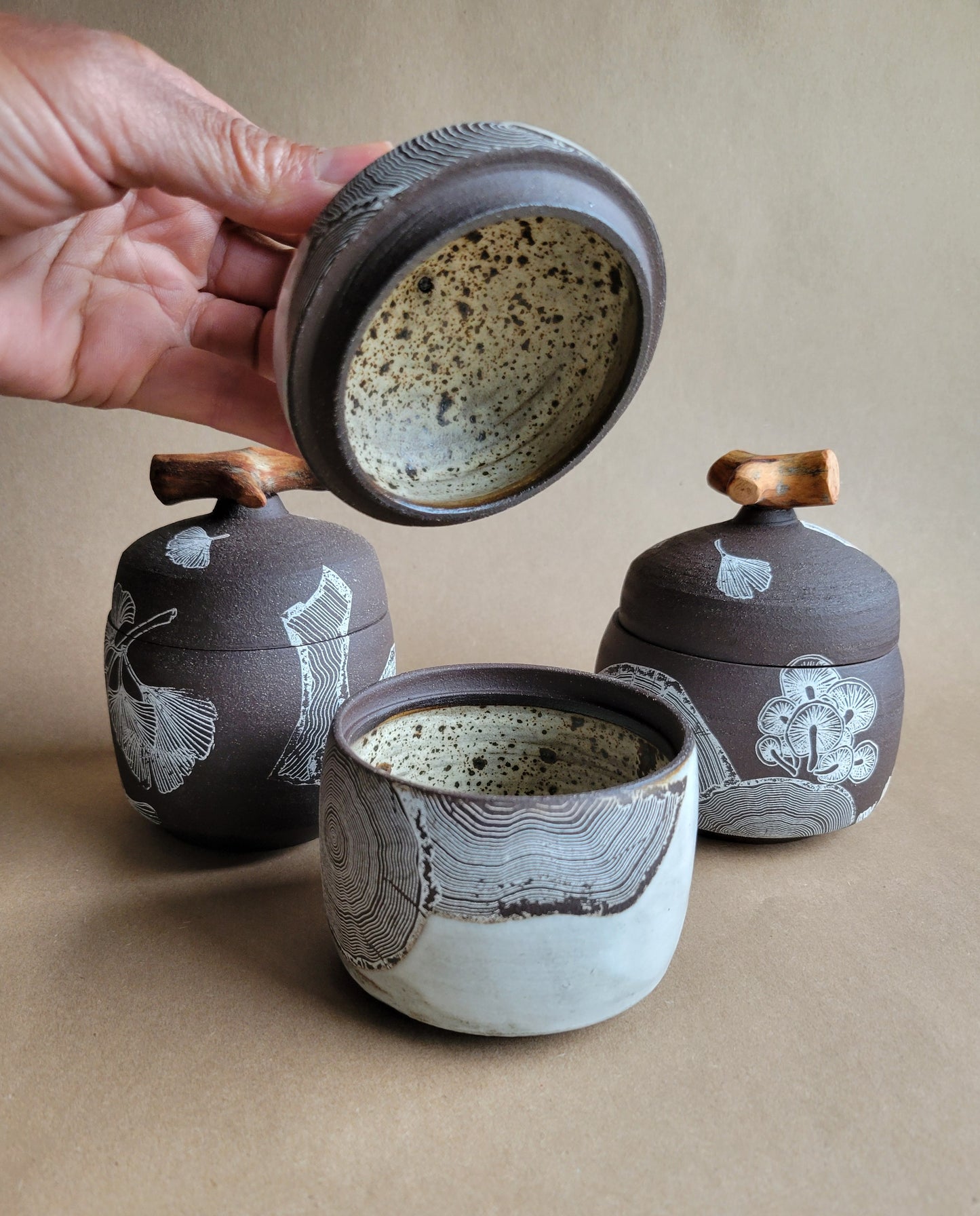 Treasure Box Tree Slices