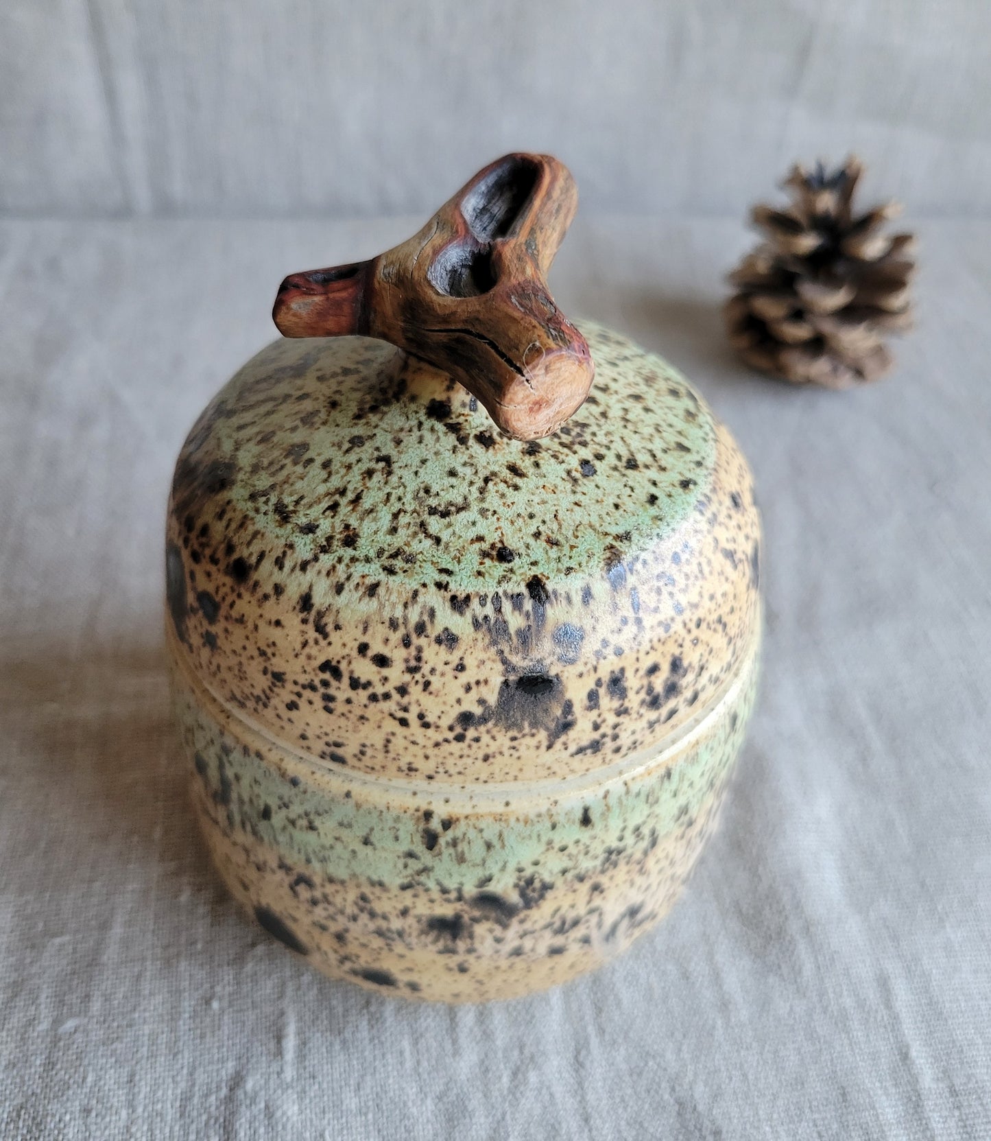 Speckled Treasure Box Sandstone