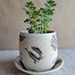 4" Nerikomi Planter