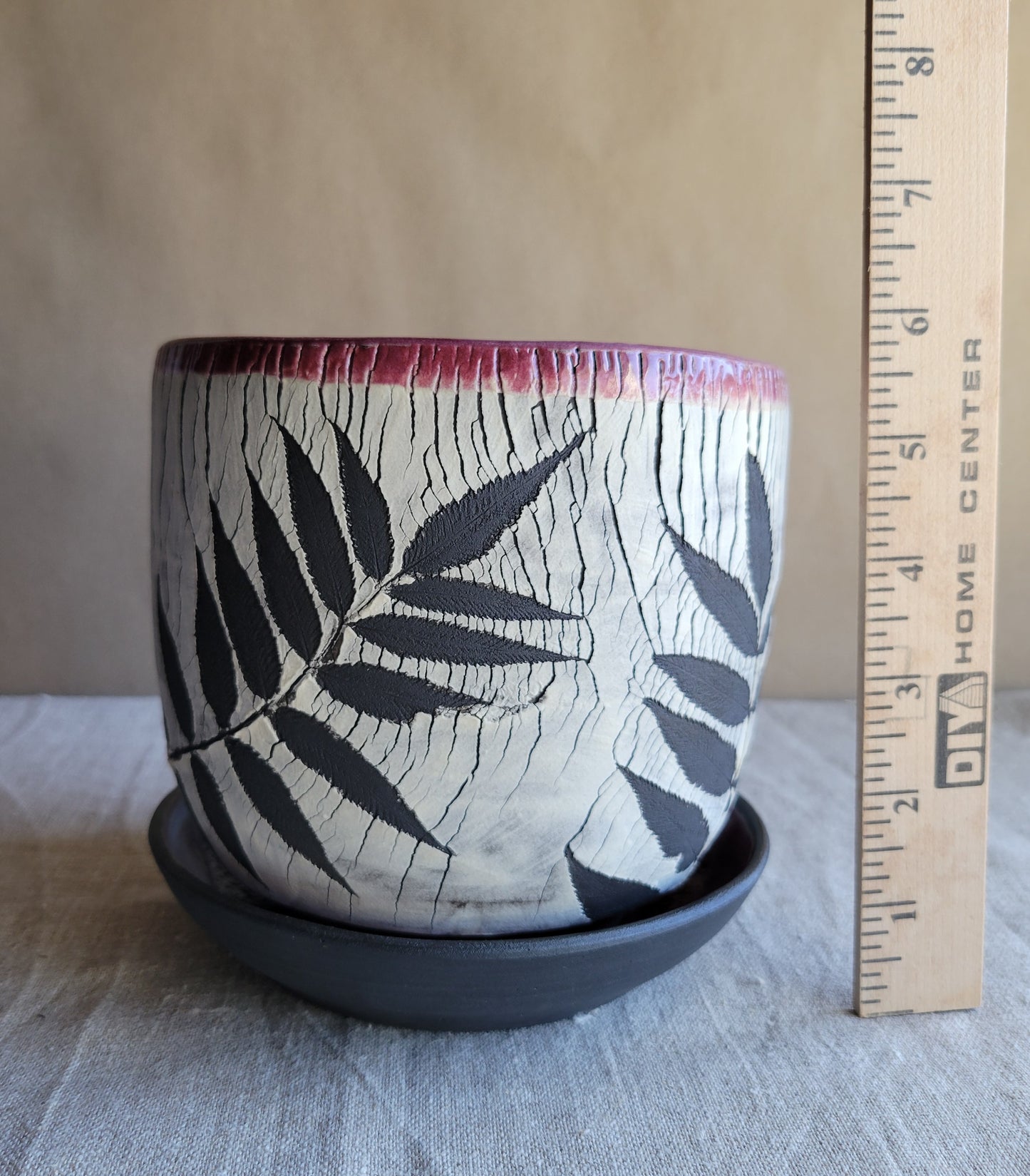 6" Cracked Fern Planter