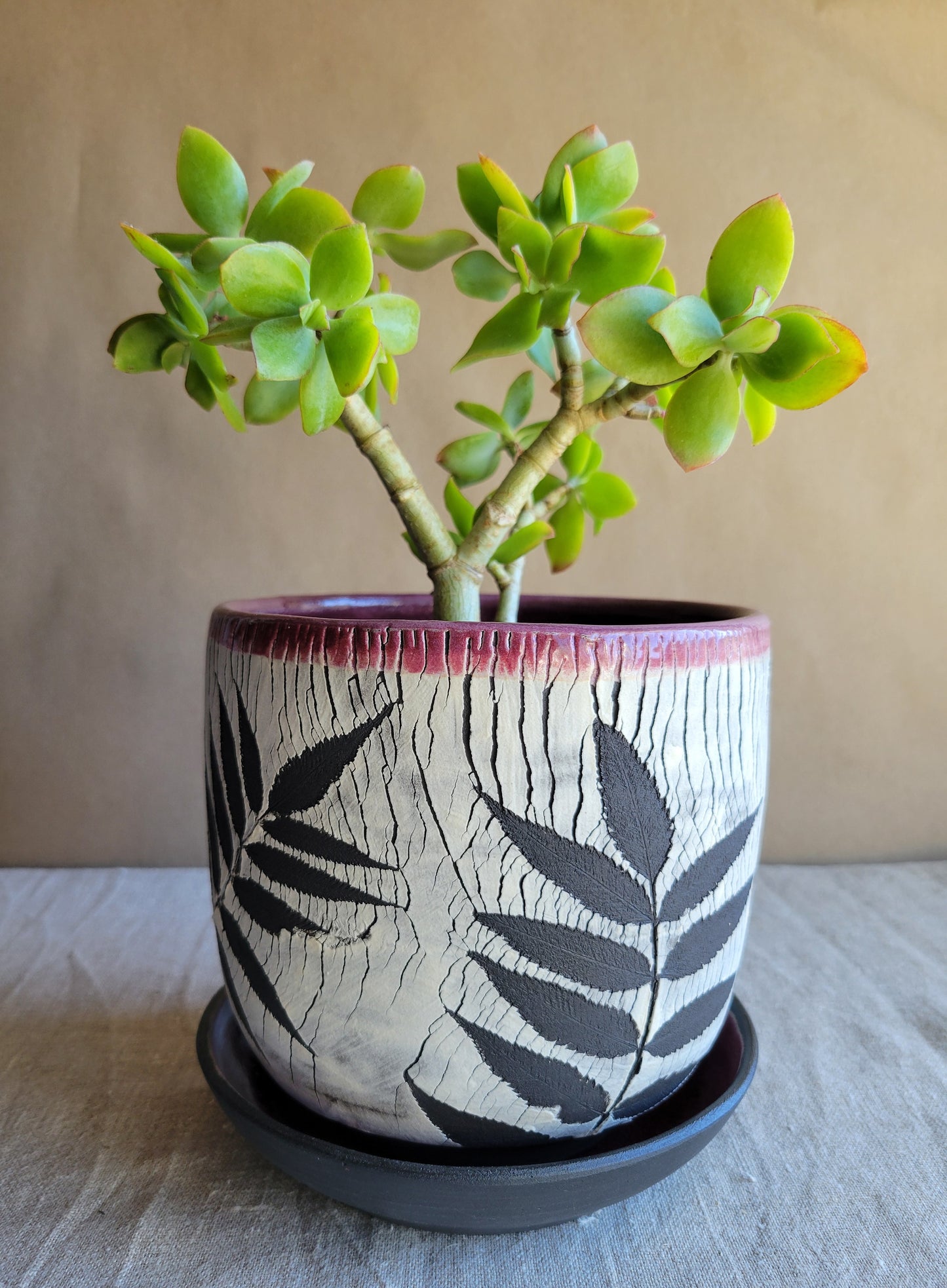 6" Cracked Fern Planter
