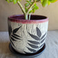 6" Cracked Fern Planter