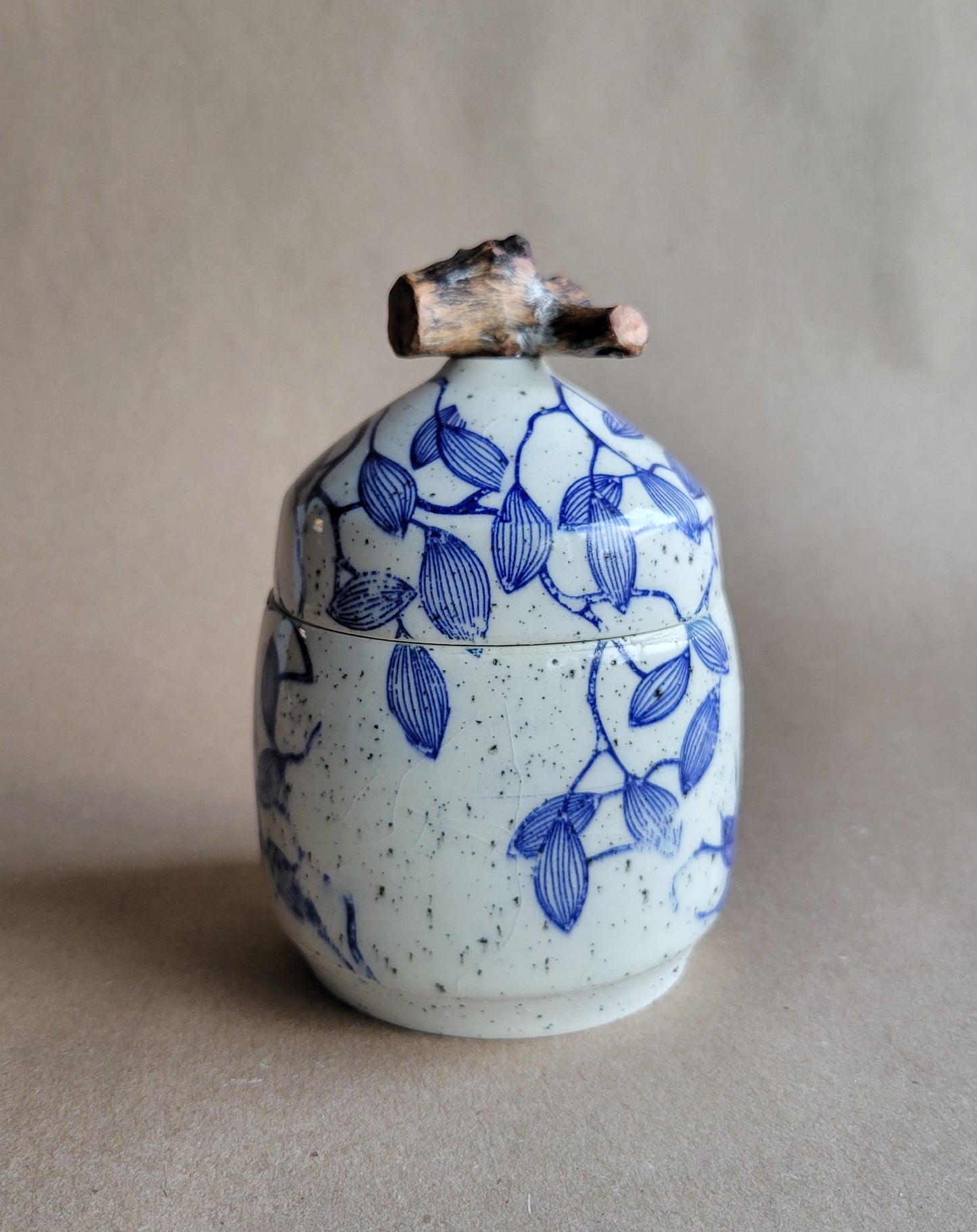 Speckled Treasure Box Blue Pods
