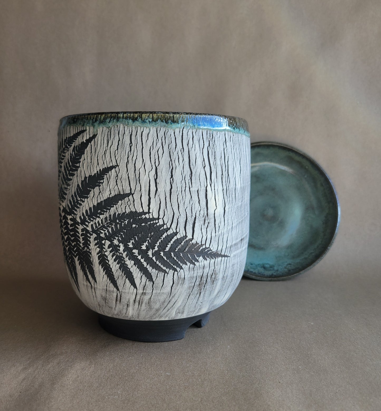 6" Cracked Fern Planter