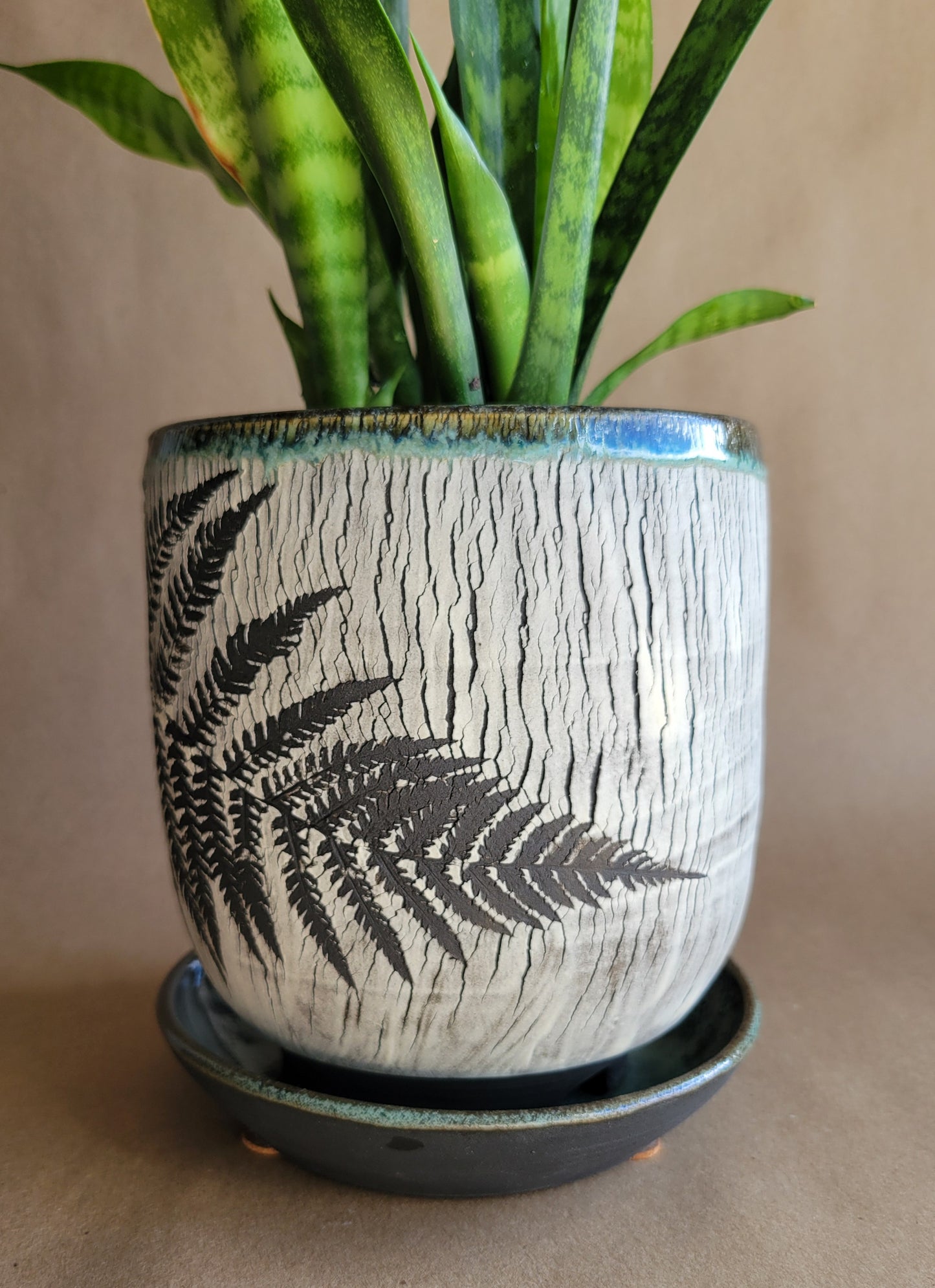 6" Cracked Fern Planter