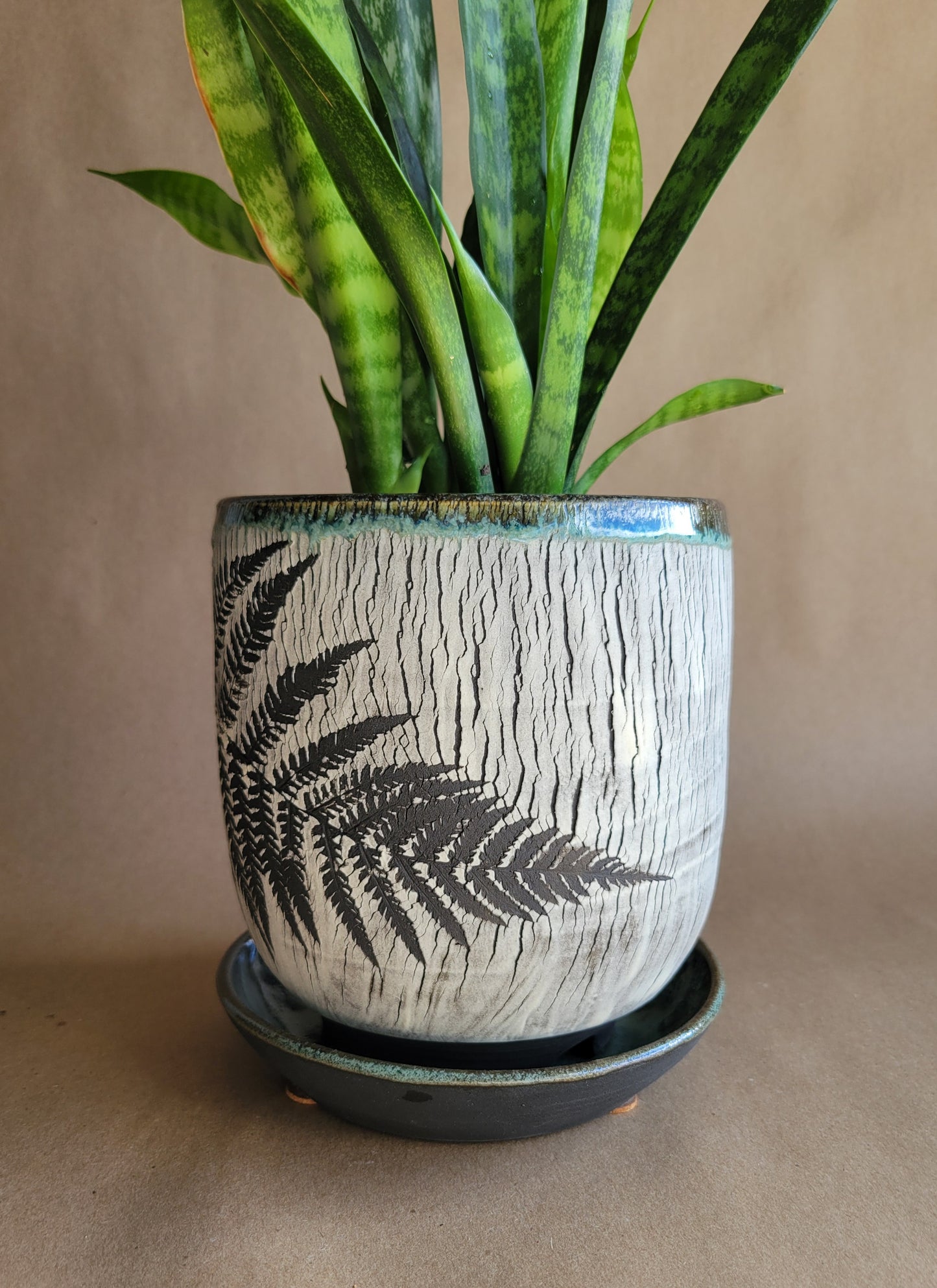 6" Cracked Fern Planter