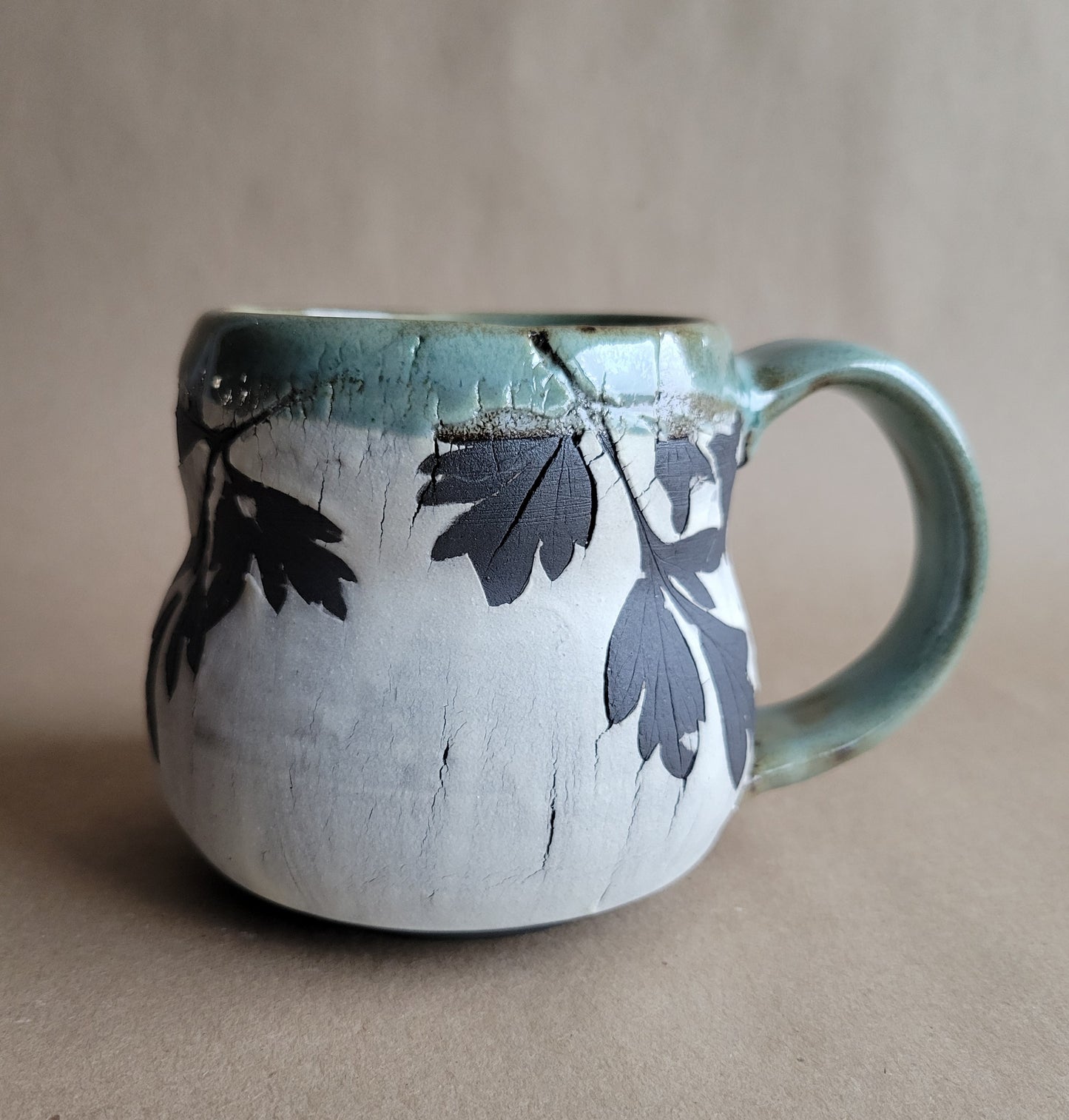Cracked Earth Mug