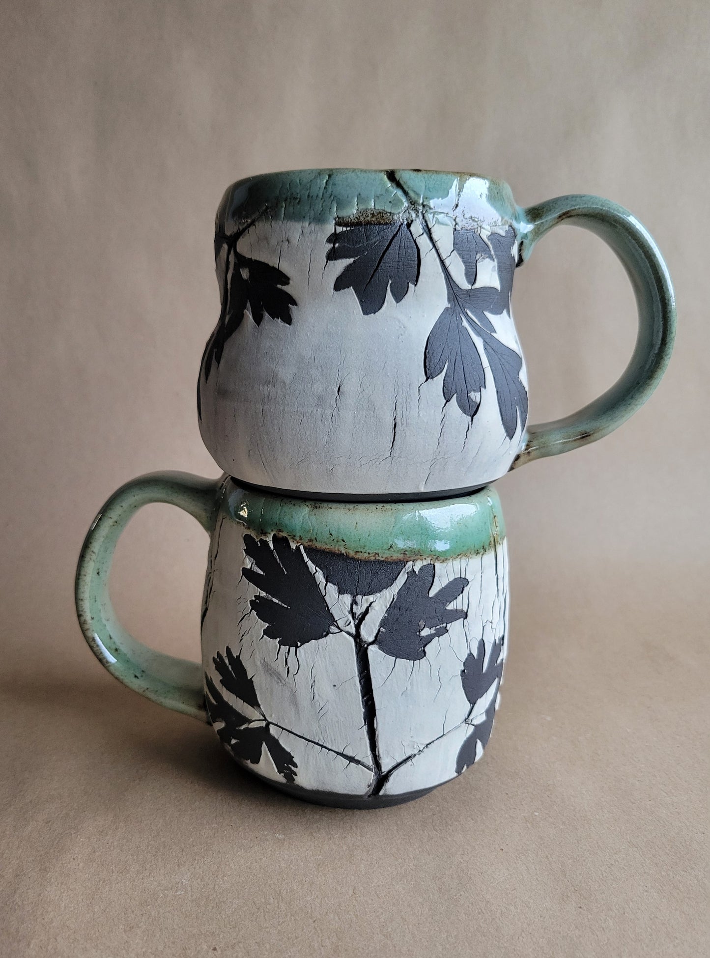 Cracked Earth Mug