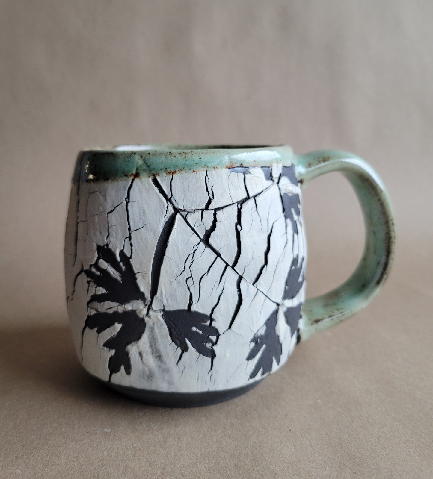 Cracked Earth Mug