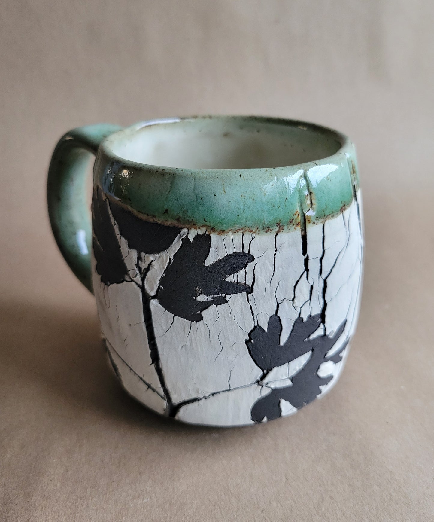 Cracked Earth Mug